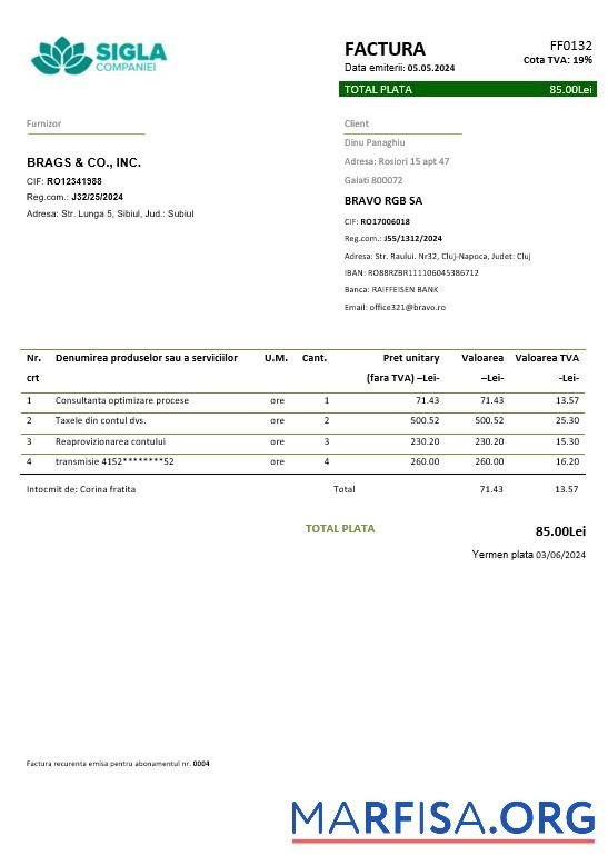Realistic Romania SIGLA COMPANIEI business utility bill template in Word and PDF formats